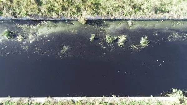 Son dakika: İstanbul Yeşilköy'de vatandaşı isyan ettiren görüntü: Dere çöp ve pislikle kaplandı-6