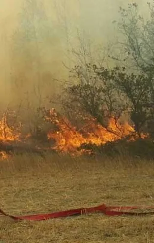 Son dakika: Sakarya'da orman yangını çıktı