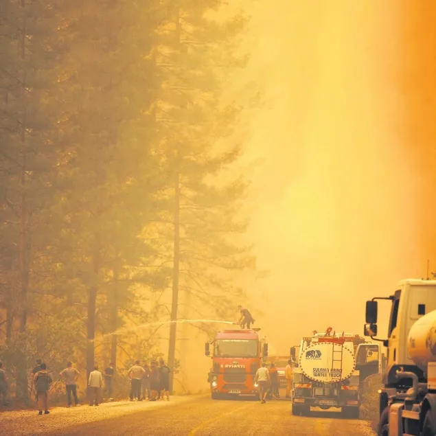 Yeşil vatan mücadelesi