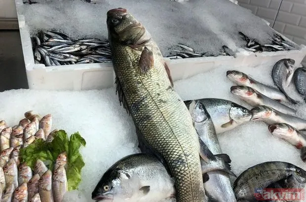 Rüyada balık almak ne anlama gelir, neye işarettir? Rüyada temizlenmiş