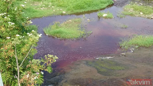 Kocaeli Gölcük ve Karamürsel'de kurban kanları derelere aktı! Suyun rengi kırmızıya döndü - 9