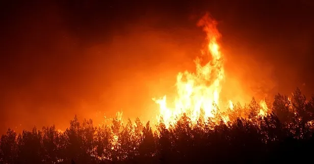 Türkiye orman yangınlarıyla mücadele ediyor