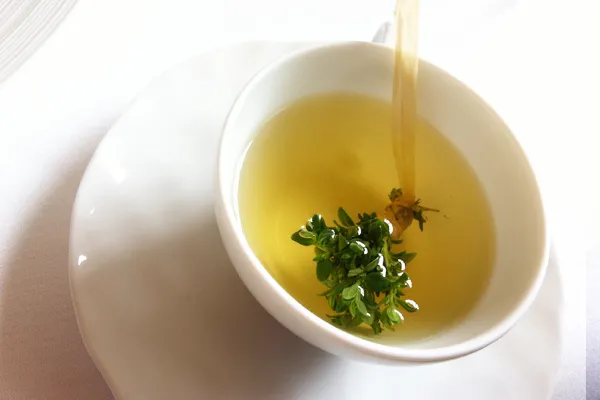 kekik-cayinin-faydalari-nelerdir-kekik-cayi-neye-iyi-gelir-nasil-yapilir-1655728063333.jpg Kekik çayı neye iyi gelir ,nasıl yapılır? Kekik çayının faydaları nelerdir?-7