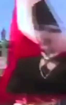 Berlin'de CHP yürüyüşüne Türk Bayrağı almadılar