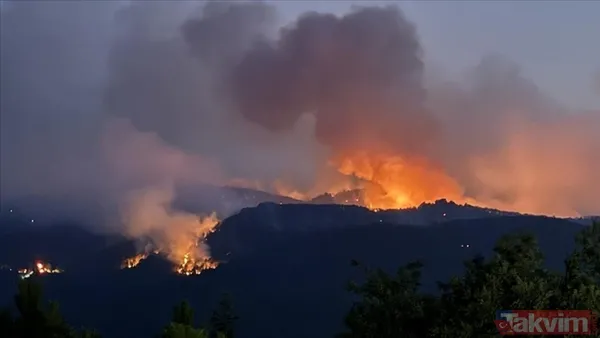 Mevsimlerin sayısı arttı! Bilime göre insan kaynaklı 2 yeni mevsim daha geldi - 8