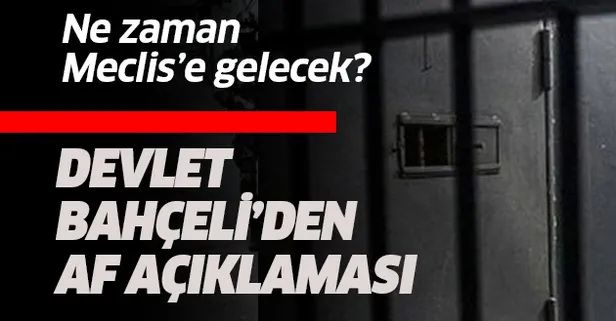 Devlet Bahçeli'den af yasası açıklaması
