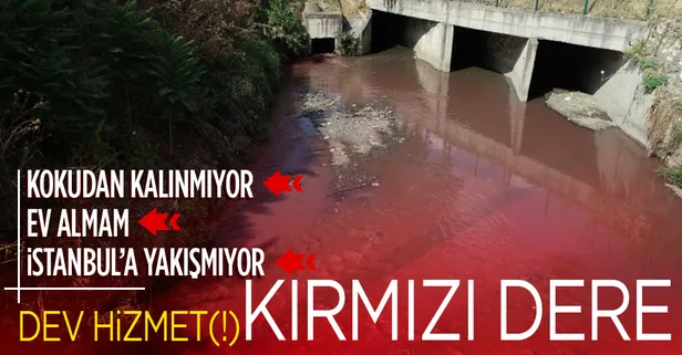 İstanbul'da dört ilçeden geçen Ayamama Deresi kırmızı renge büründü