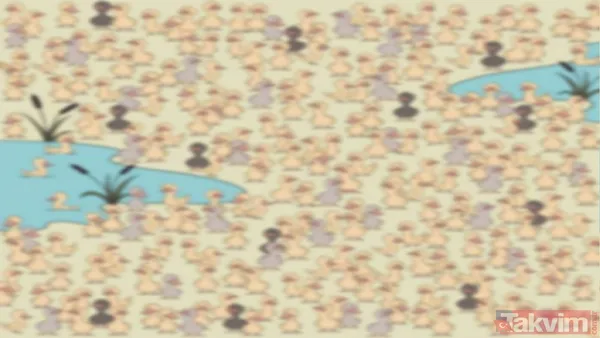 Bu Optik İllüzyon, Eleştirel Düşünme Ve Görsel Algınızı Ölçmek İçin Tasarlanmıştır. Beyninizin Analitik Kapasitesini Zorlayacak Bu Bulmacayı Çözmek İçin Sadece...