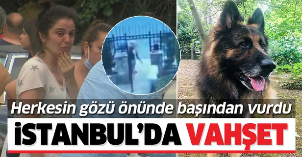 İstanbul'da vahşet! Nero'yu sokak ortasında katletti