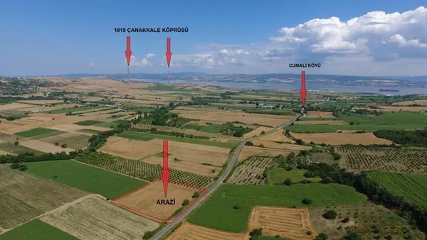 Koronavirüsten sonra talep patlaması! Fiyatlar yüzde 400 arttı! Altından daha yüksek kâr-4