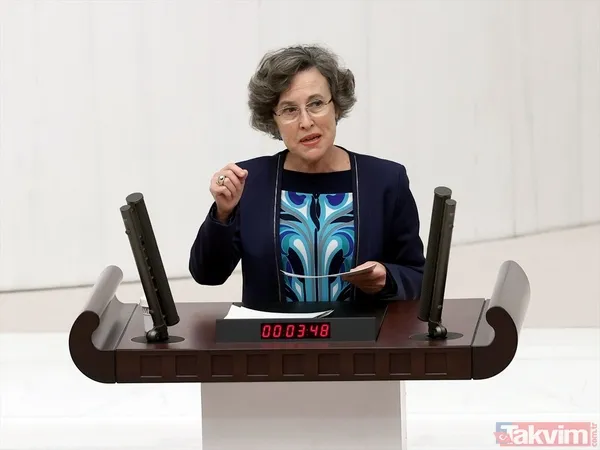 TBMM'de kadın vekillerin şıklık yarışı! HDP'li isimden sinsi mesaj: Meral Danış Beştaş yılan kolyesi taktı - 25