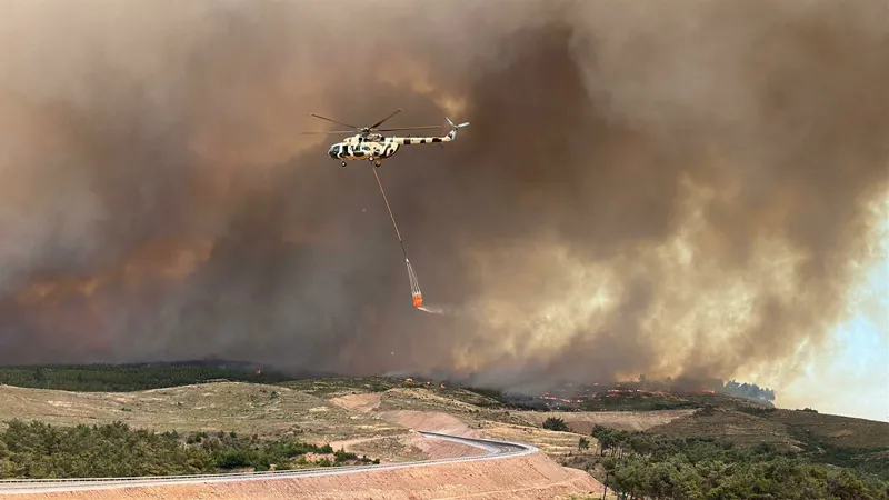 Orman Yangını (AJANSLAR)