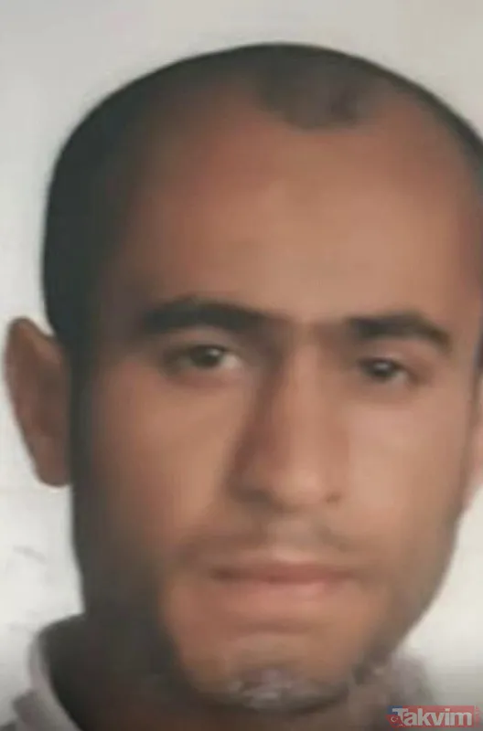 Fatih'te başıboş sokak köpeği vahşeti: 1 kişi hayatını kaybetti | Dehşeti anlattılar: Boğazını ısırıp kopartmışlar - 2