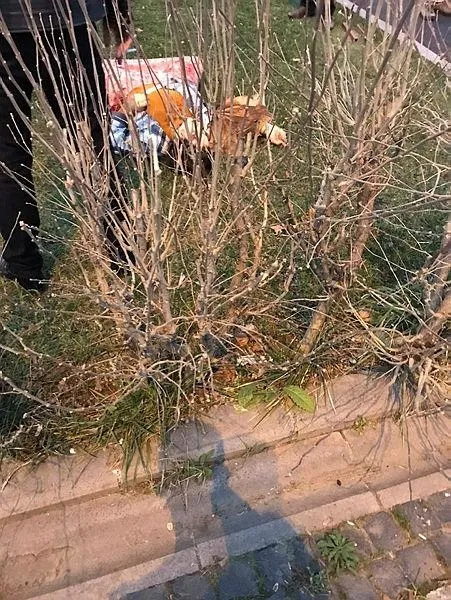 esenyurtta-vahset-meryem-yilmaz-isimli-kadin-15-yerinden-bicaklanarak-katledildi-1640379101568.jpeg Esenyurt'ta vahşet! Meryem Yılmaz isimli kadın 15 yerinden bıçaklanarak katledildi-2