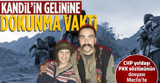 Sevgilisi olan PKK’lı teröristle fotoğrafları çıkan HDP’li Semra Güzel’in dokunulmazlık dosyası Karma Komisyon’da