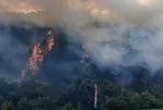 Bolu’da orman yangını! Yol ulaşıma kapatıldı