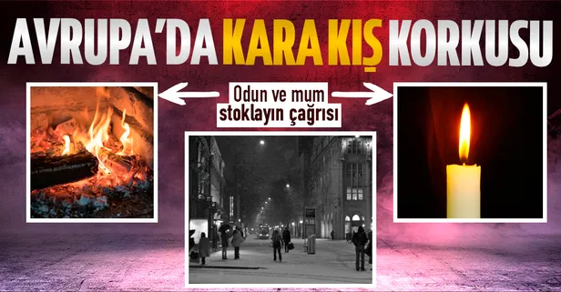 İsviçre'yi kara kış korkusu sardı! Odun ve mum stoklayın