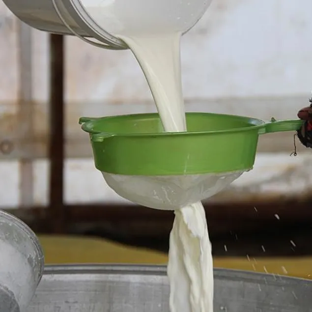 Sütte üretim rekoru