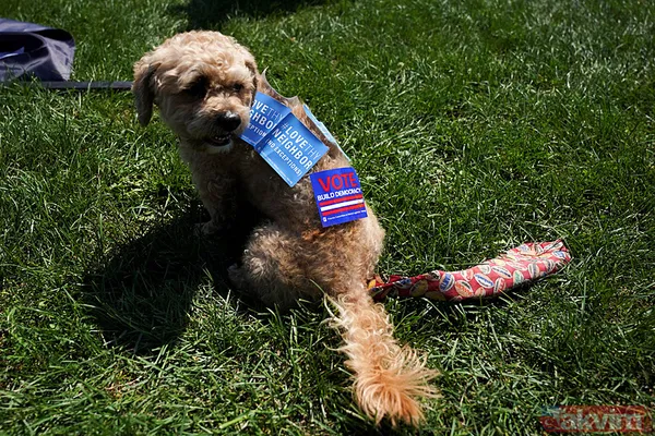 Kamala Harris'in adaylığını ilan edeceği Demokrat Parti Kongresi'nde yüzlerce Filistin destekçisi protesto düzenledi - 16