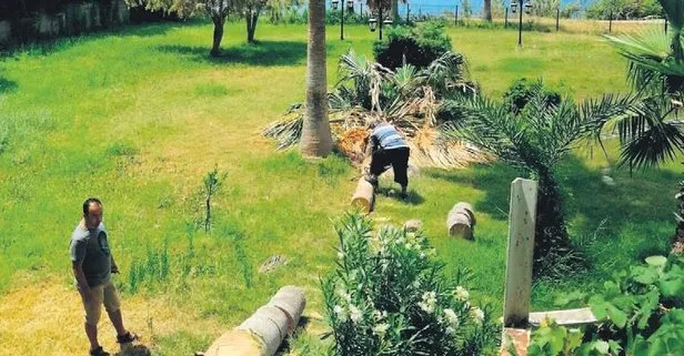 takvim gazetesi