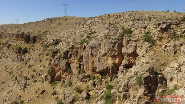 Kilogramı 500 TL! Batman'da dağlardan toplanan kaya balının sadece fazlasını satıyorlar - 12