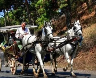 Adalar’da flaş fayton kararı