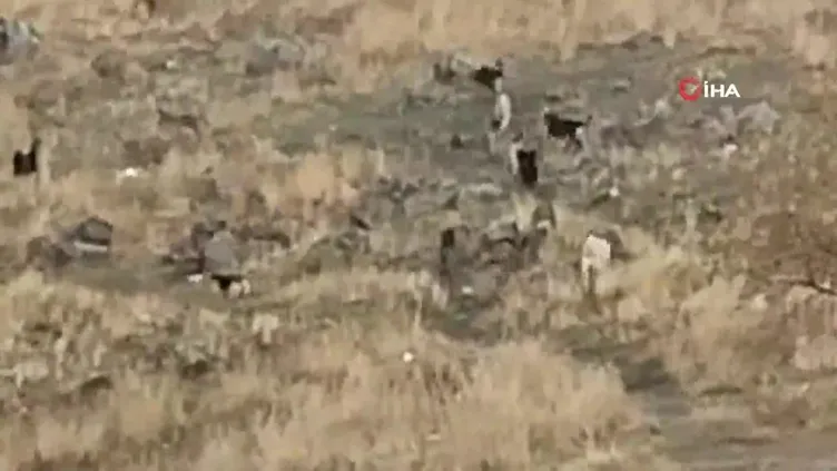 🚨 Ankara Keçiören Köpek Saldırısı SON DAKİKA! Keçiören'de Köpek Saldırısı: İlkokul Öğrencisi Tunahan Yılmaz Ağır Yaralandı!