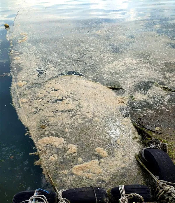 son-dakika-marmara-denizinden-sonra-karadenizde-de-musilaj-deniz-salyasi-goruldu-uzmanlar-uyardi-boyle-giderse-kaplanir-1623048035946.jpg SON DAKİKA: Marmara Denizi'nden sonra Karadeniz'de de müsilaj (deniz salyası) görüldü! Uzmanlar uyardı: Böyle giderse kaplanır-3