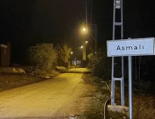 Adana’da mavi dil alarmı! Bölge karantinaya alındı