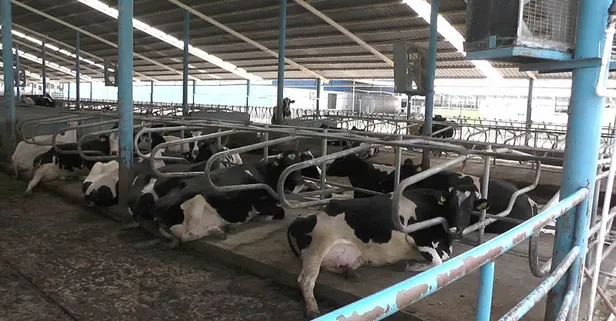 'Sütbank' davasında flaş gelişme!