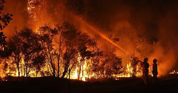 Güney Kore’de “bugüne kadarki en büyük yangın”! Ölü sayısı artıyor