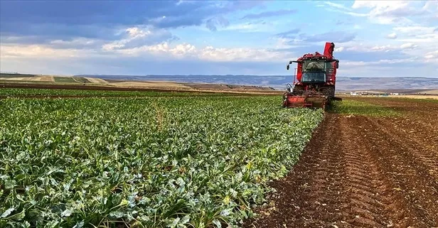 Bakan Yumaklı duyurdu: Tarımsal destek ödemeleri bugün hesaplara yatıyor