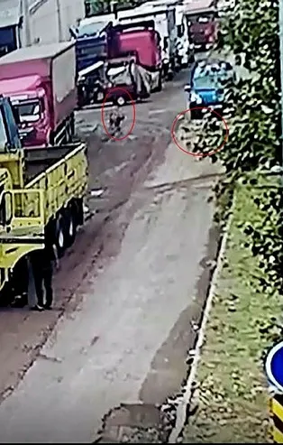 Tekirdağ'da başıboş köpek dehşeti! 12 yaşındaki çocuğu kovaladı sonrası felaket