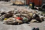 Gaziantep'te mide bulandıran görüntüler! CHP'li Meclis üyesinden CHP'li başkana isyan: Burası Afganistan değil
