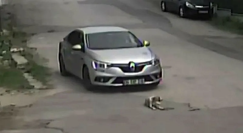 sakaryada-dehset-veren-olay-otomobiliyle-yolda-yatan-kopegin-uzerinden-gecti-1714767307580.jpeg Sakarya'da dehşet veren olay! Otomobiliyle yolda yatan köpeğin üzerinden geçti-3