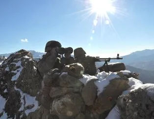 MSB: 5 PKK’lı terörist teslim oldu