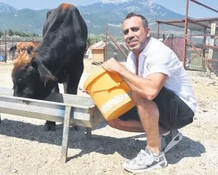Avrupa onu konuşuyor