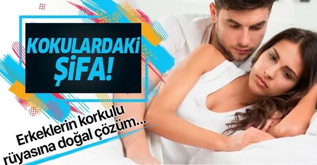 Cinsel Gucu Arttiran Yiyecekler Cinsel Gucu Arttiran Yiyecekler Nelerdir Cinsellik