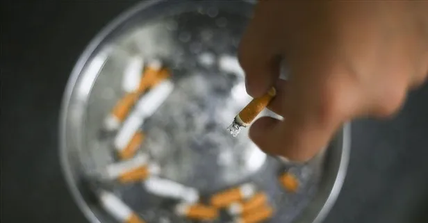 Başkan Erdoğan'ın mücadelesi sonuç verdi! Türkiye sigarayla mücadelede en başarılı ülke