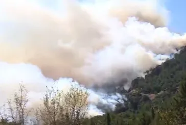 İzmir'de 3 ilçede yangınla mücadele