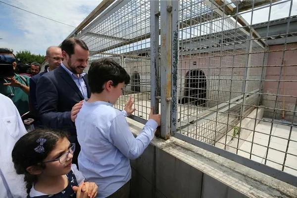 Bakan Albayrak'tan yavru köpeğe işkence açıklaması-1