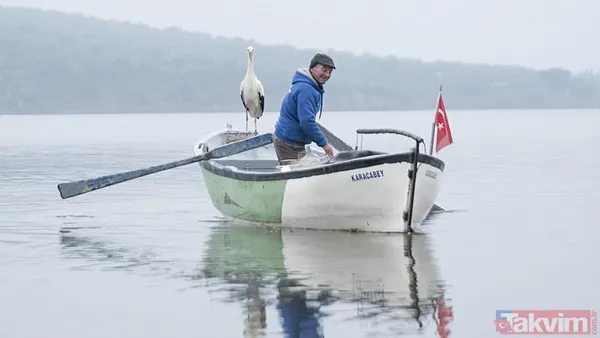 Yaren Leylek geldi: 14 yıl oldu! Yine Adem Yılmaz'ın kayığına kondu - 15