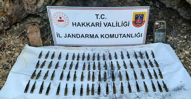 Hakkari’de PKK’ya operasyon: 80 uçaksavar mühimmatı ele geçirildi