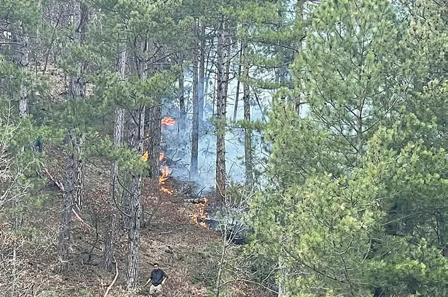 Son dakika: Bursa'da orman yangını