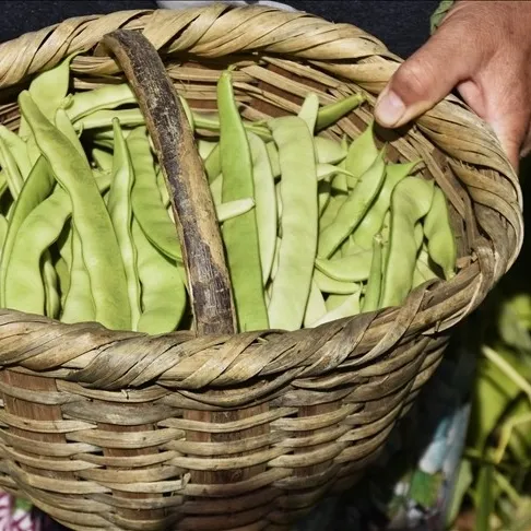 Taze fasulye arttı uçak ucuzladı