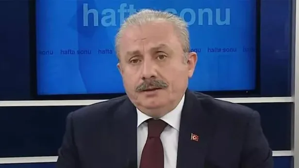 6 yaşındaki çocuğa cinsel istismar davası! Türkiye’yi sarsan olayda iddianame kabul edildi: "En iğrenç, en ahlaksız suç takipçisi olacağız"-2