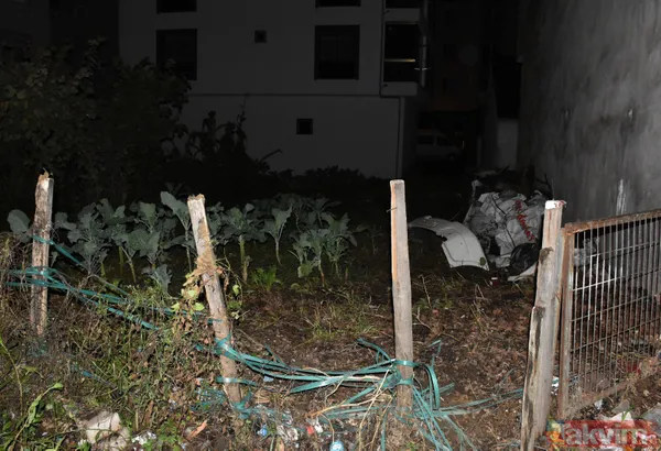 SON DAKİKA: Ordu'da kan donduran olay: Fındık bahçesine gömülü yeni doğmuş bebek cesedi bulundu! 2 kız kardeş gözaltında - 1