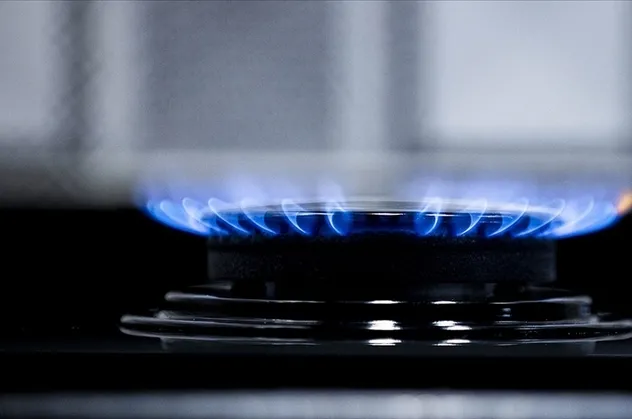 Son dakika: Bakan Derya Yanık'tan doğal gaz desteği açıklaması