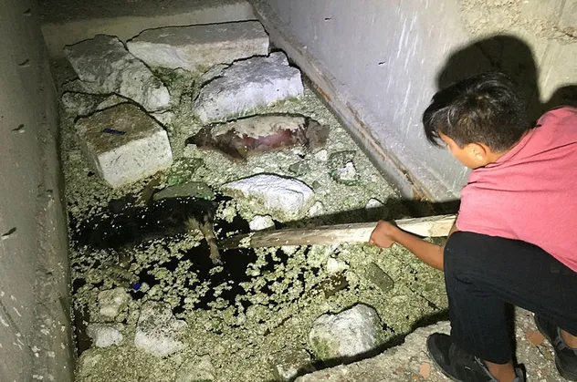 Bursa'da esrarengiz olay! Çocuklar buldu, araştırılıyor