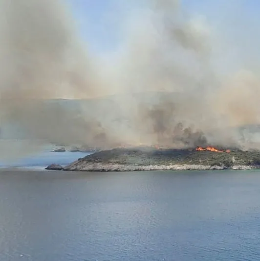 İzmir Urla’da makilik alanda yangın!